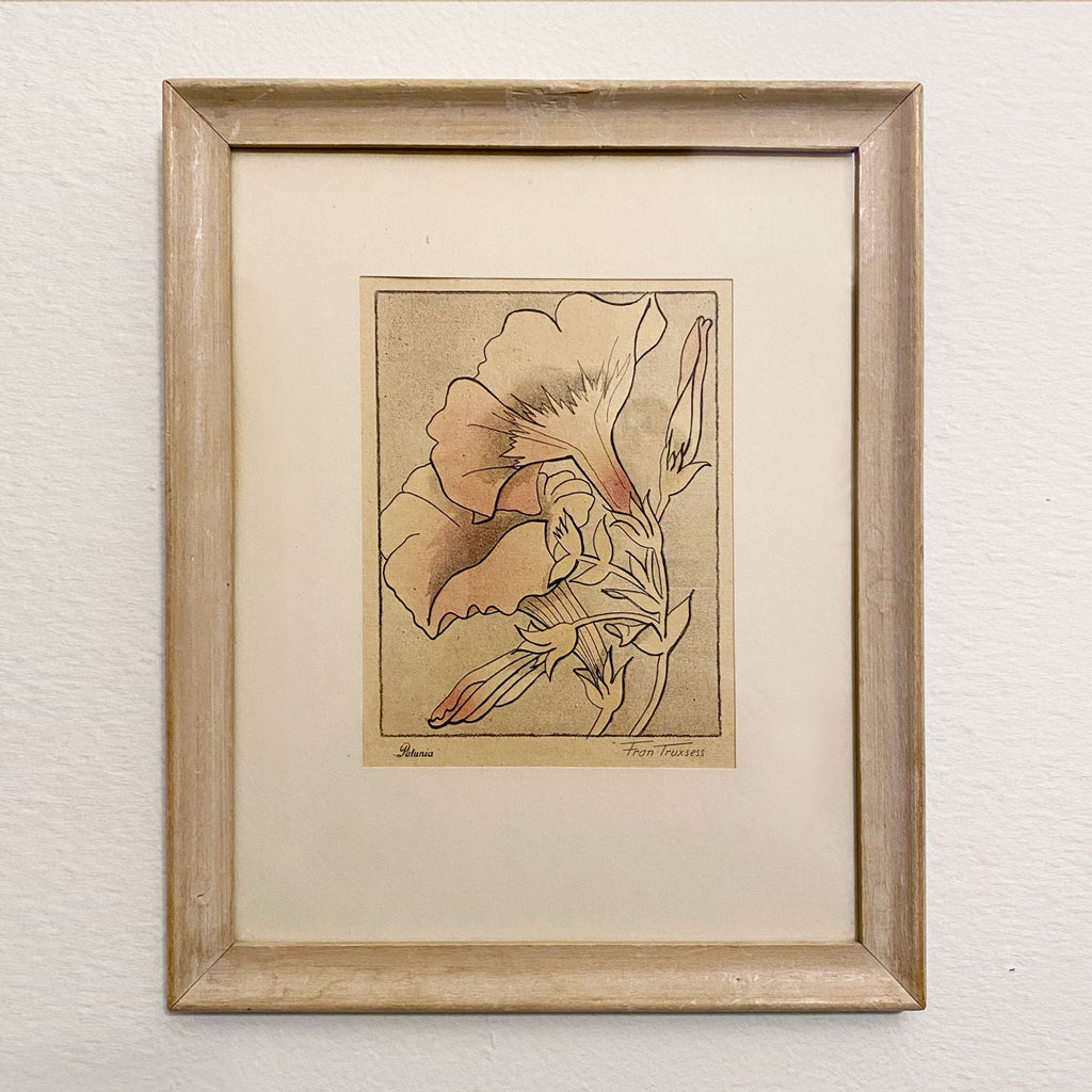 vintage framed petunia sketch