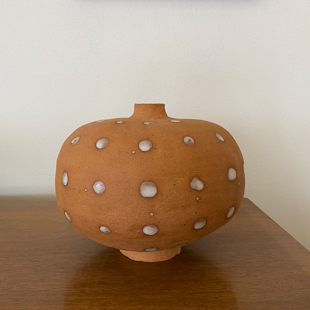 Dotted Brown Vase